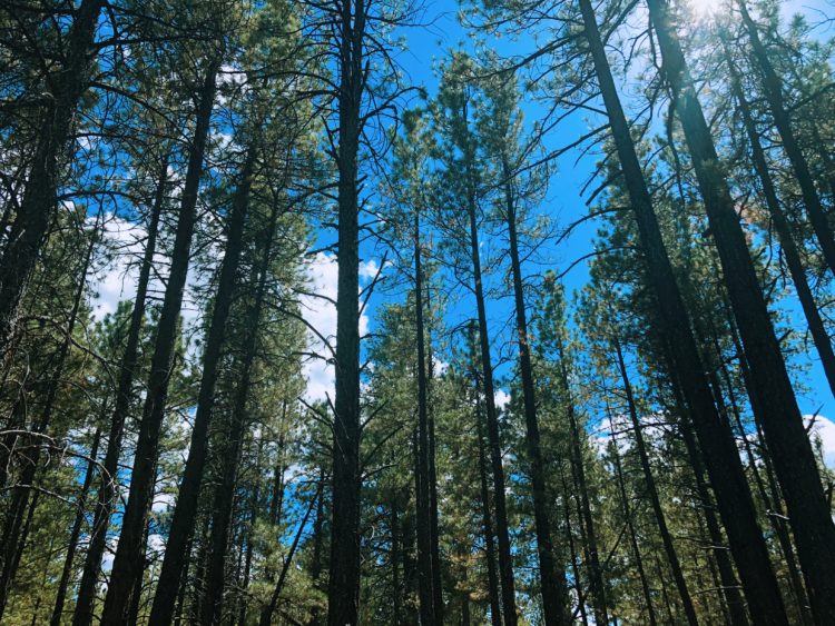 Lava Cave River, Flagstaff