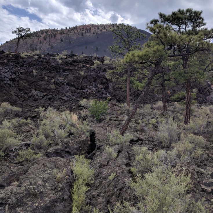 Phoenix Relocation Source Free Phoenix Home Buying Guide