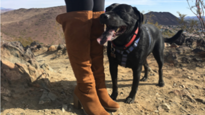 Thunderbird Conservation Park