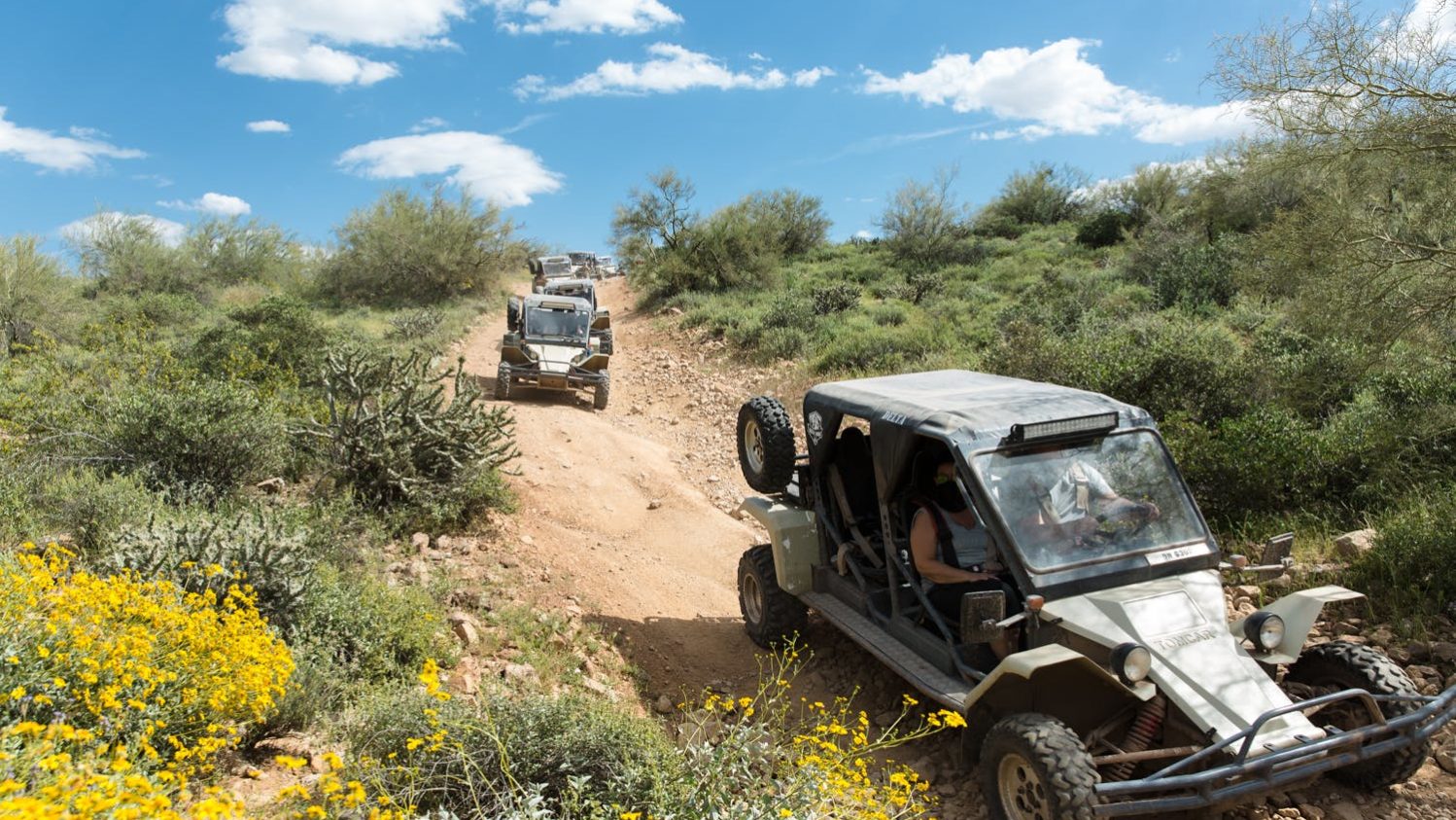 MSH_03.27.17-Desert_Wolf_1458