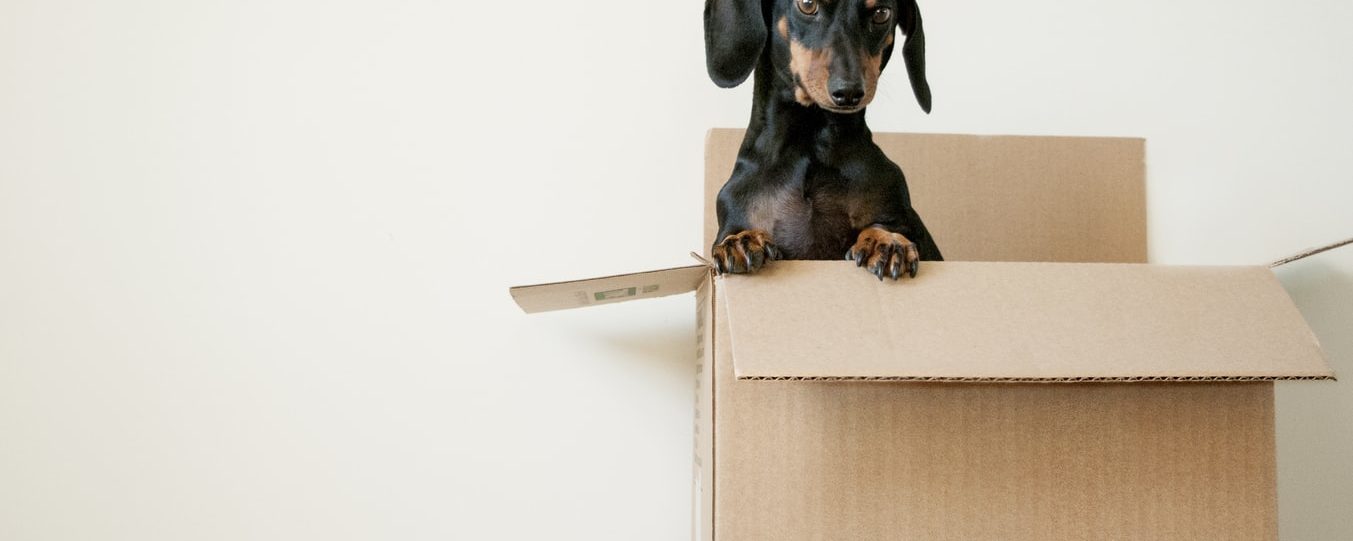 photo-1520038410233-7141be7e6f97